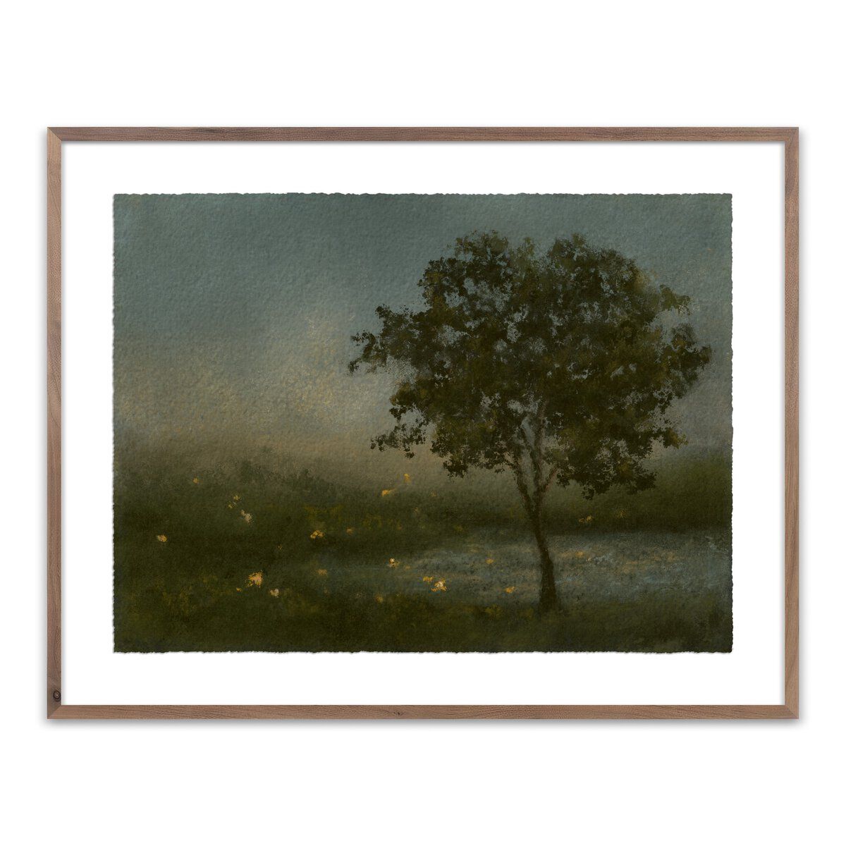 Firefly Field By Lina Gordievsky