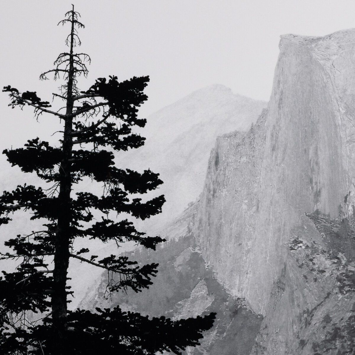 Half Dome From Glacier Point By Getty Images
