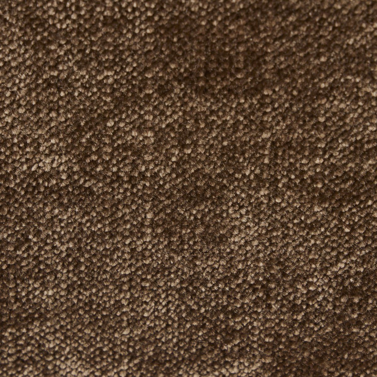 Jayla Armless Dining Chair