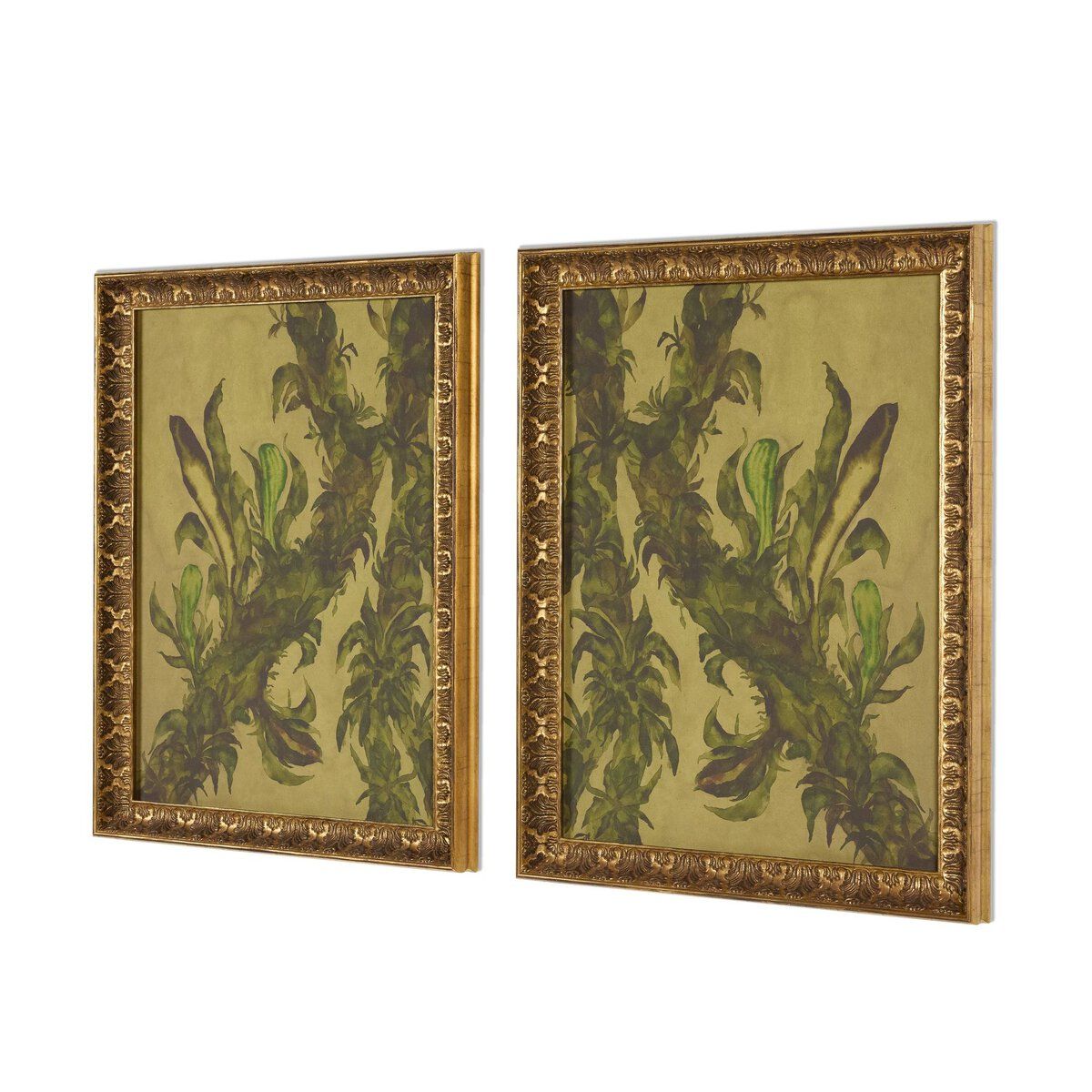 Epiphytes Diptych By Molly Franken