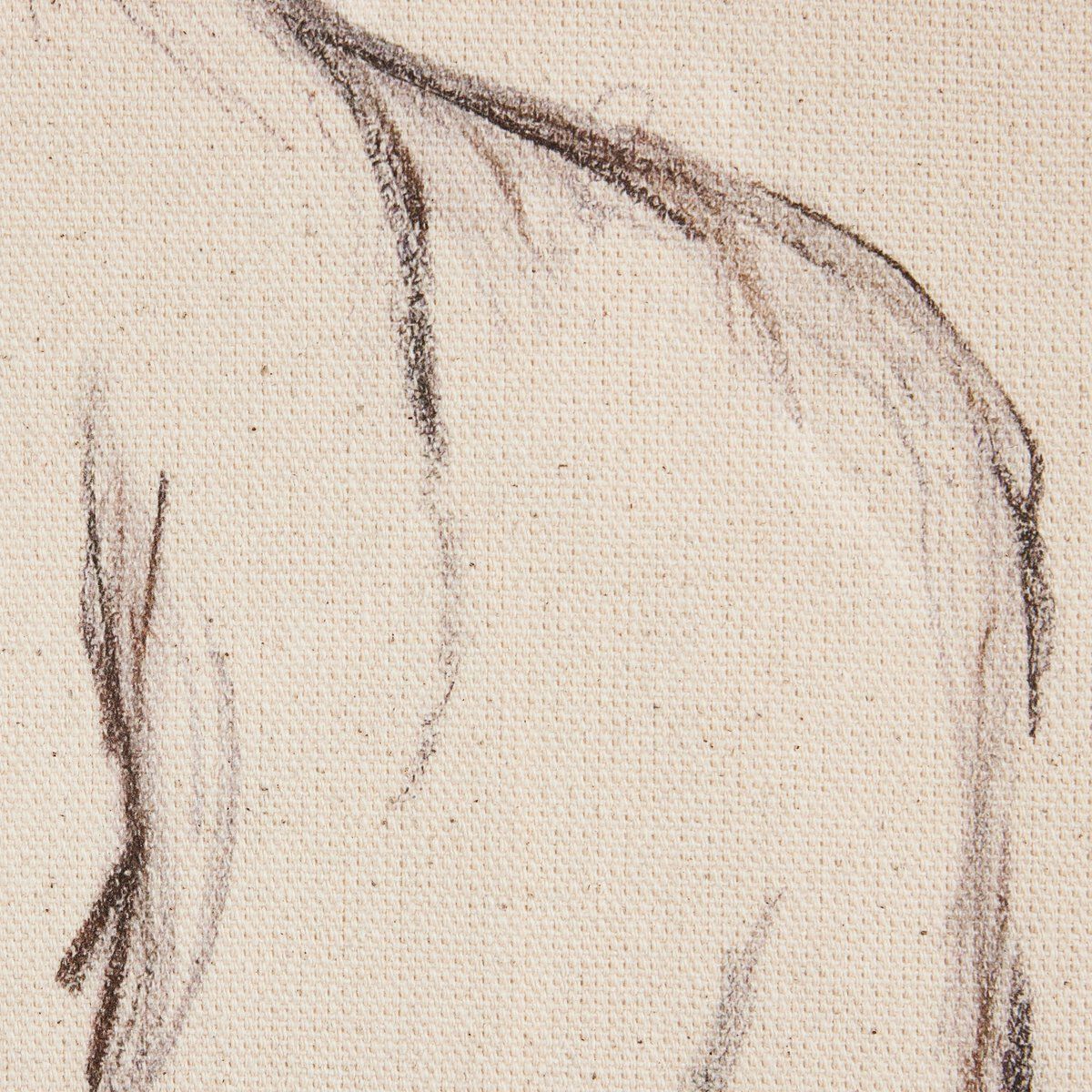 Charcoal Her By Brittney Schulz