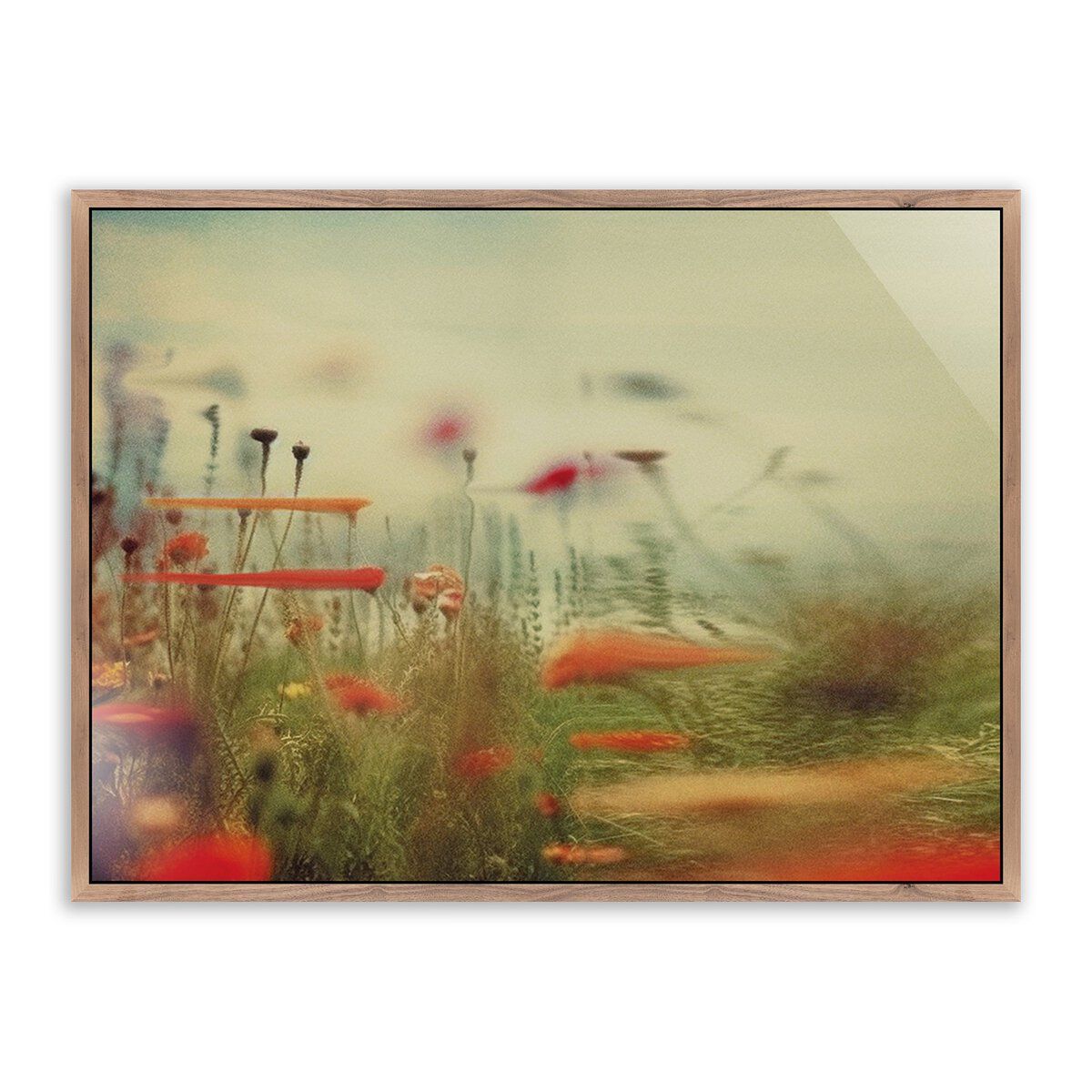 Prairie Ii By Coup D'esprit