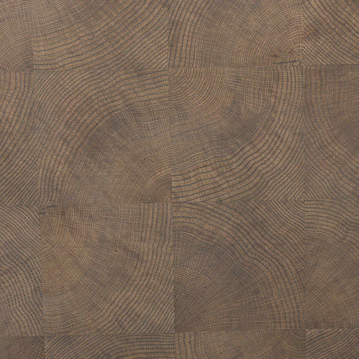 Salta Desk