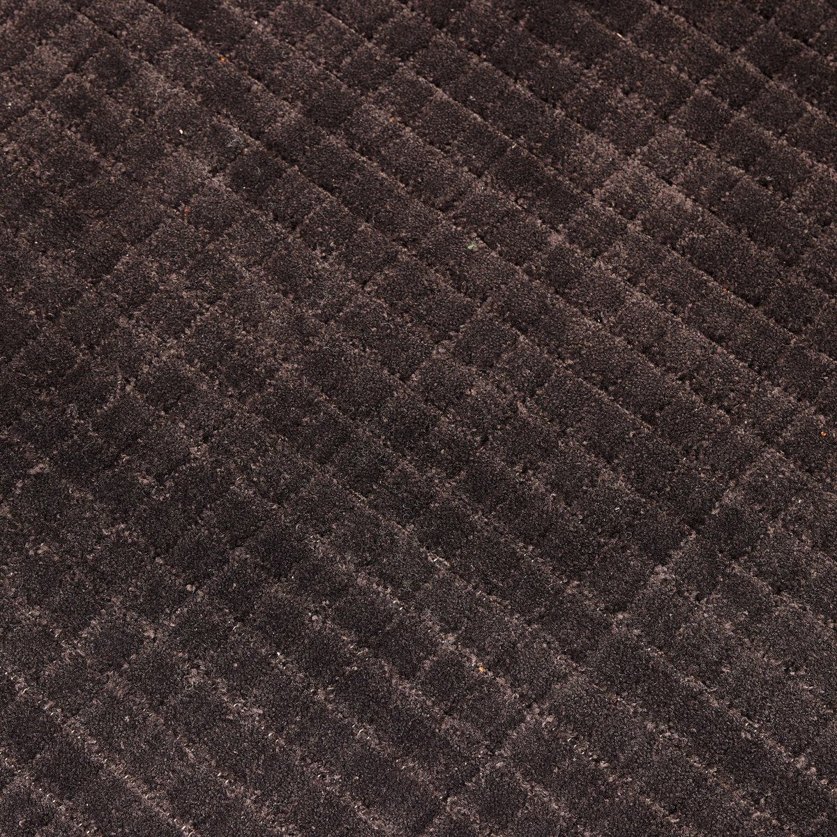 Gunter Outdoor Rug