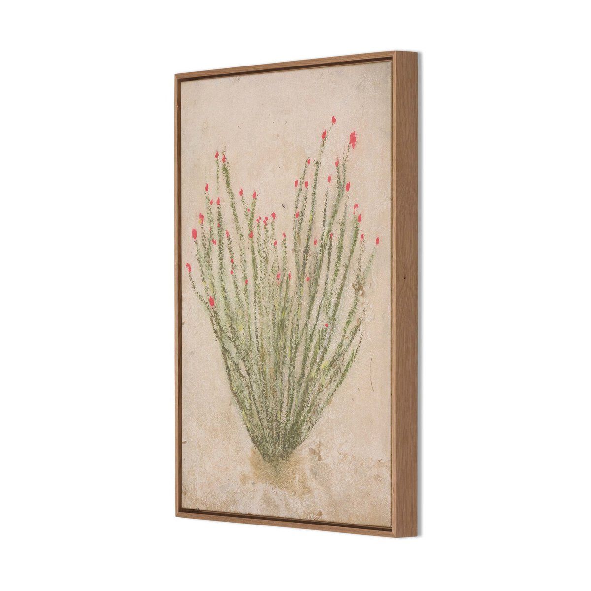 Desert Flora Triptych By Paul Meyer