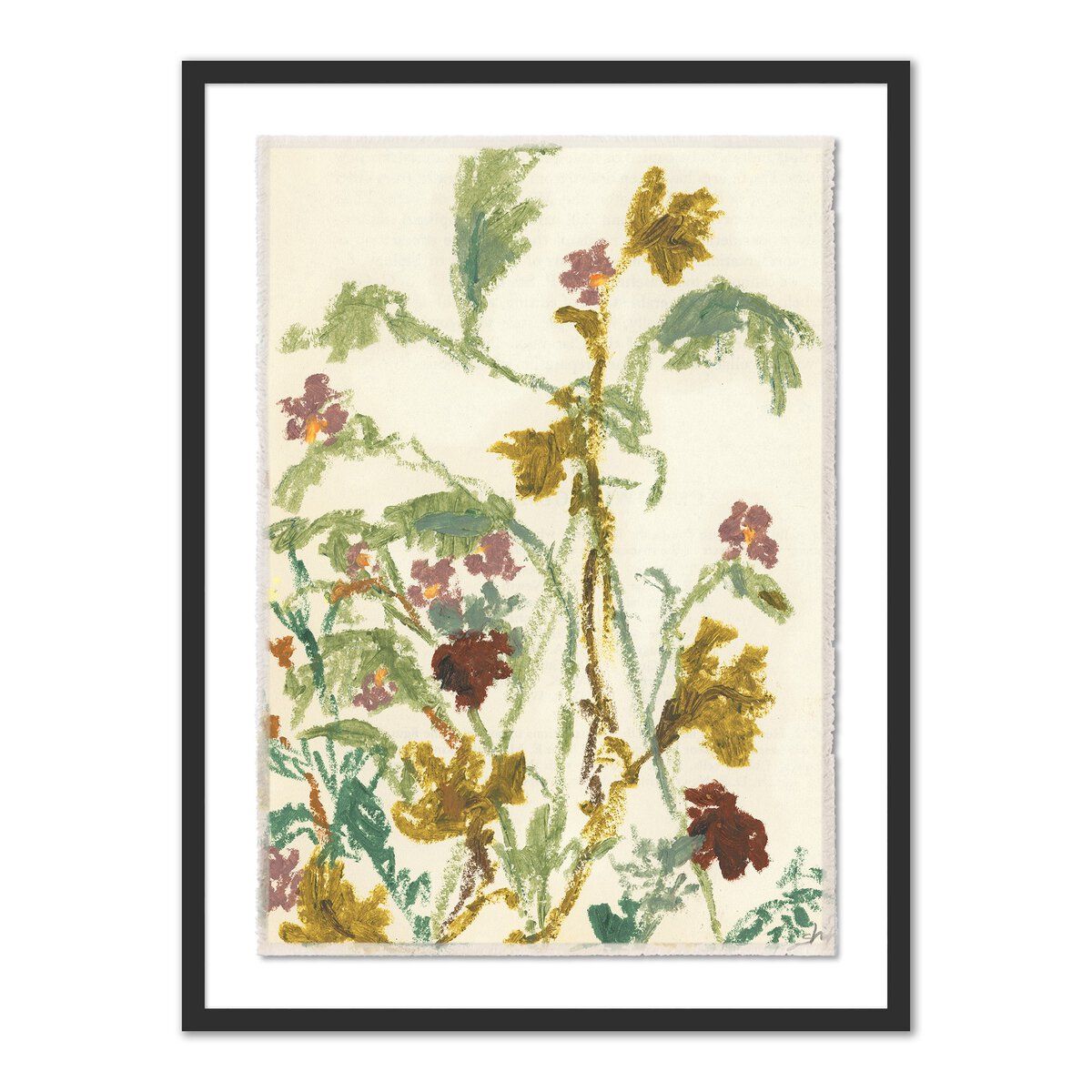Meadow Rue 1 By Shaina Page