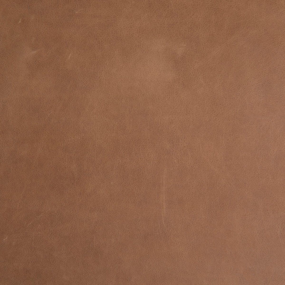 Iris Trunk Storage Bench