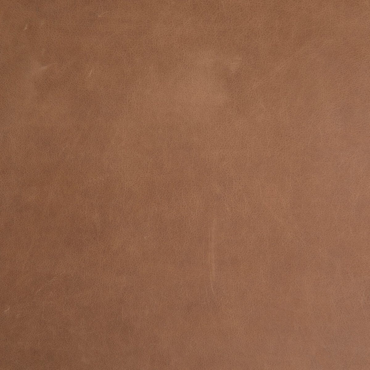 Iris Trunk Upholstered Storage Bench