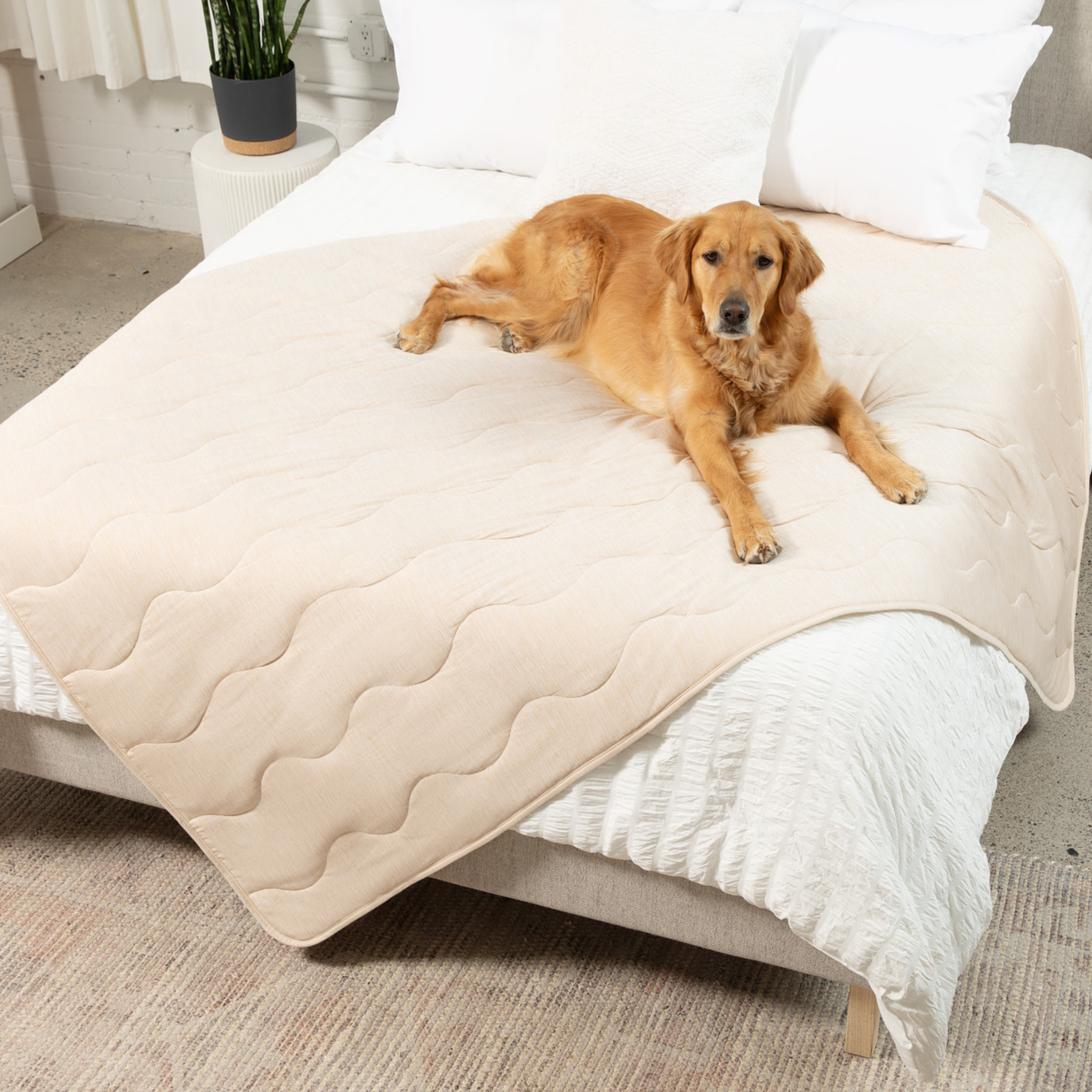 PupChill™ Cooling Waterproof Dog Blanket - Arctic Sand