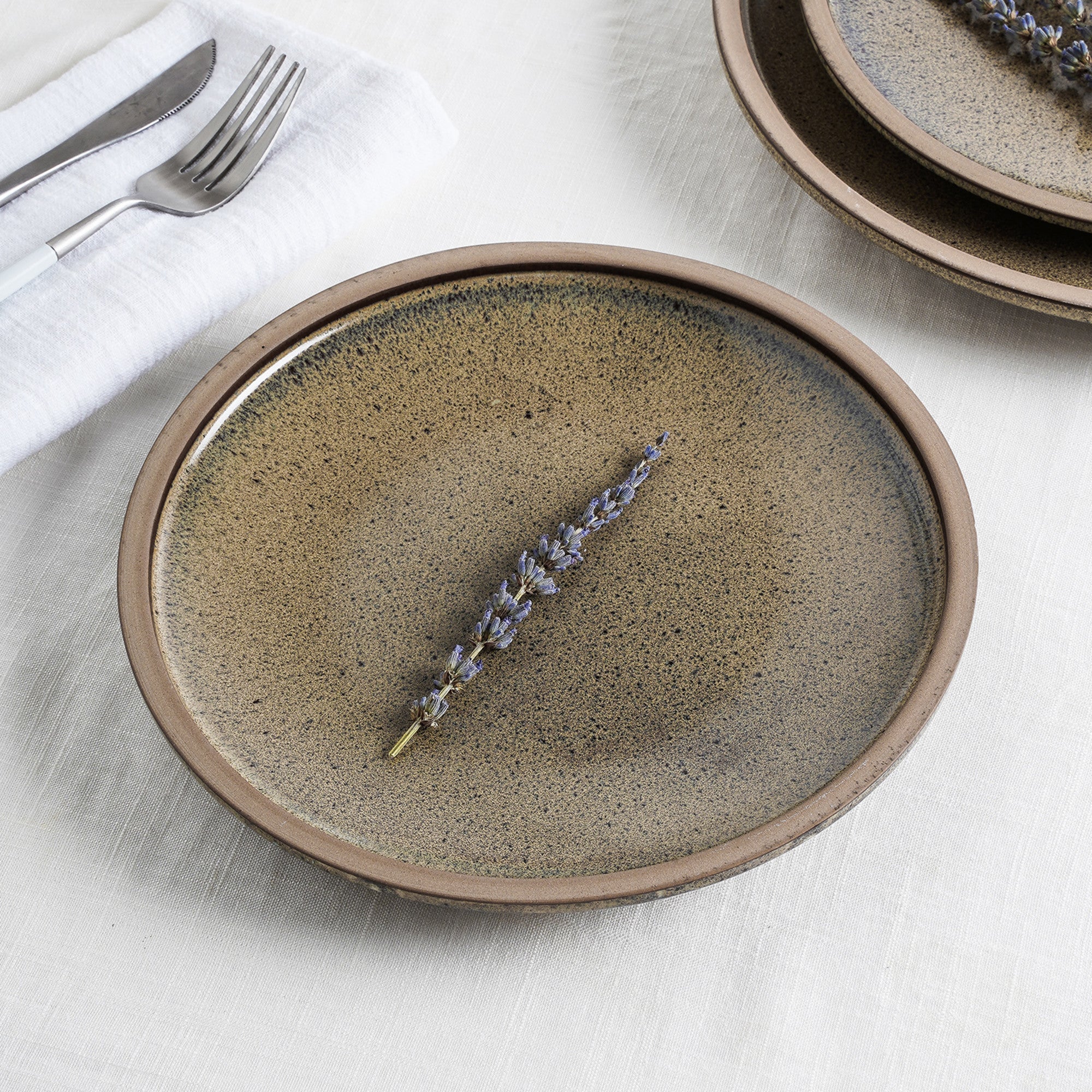 Tina Stoneware Dinner Plate - Green And Beige