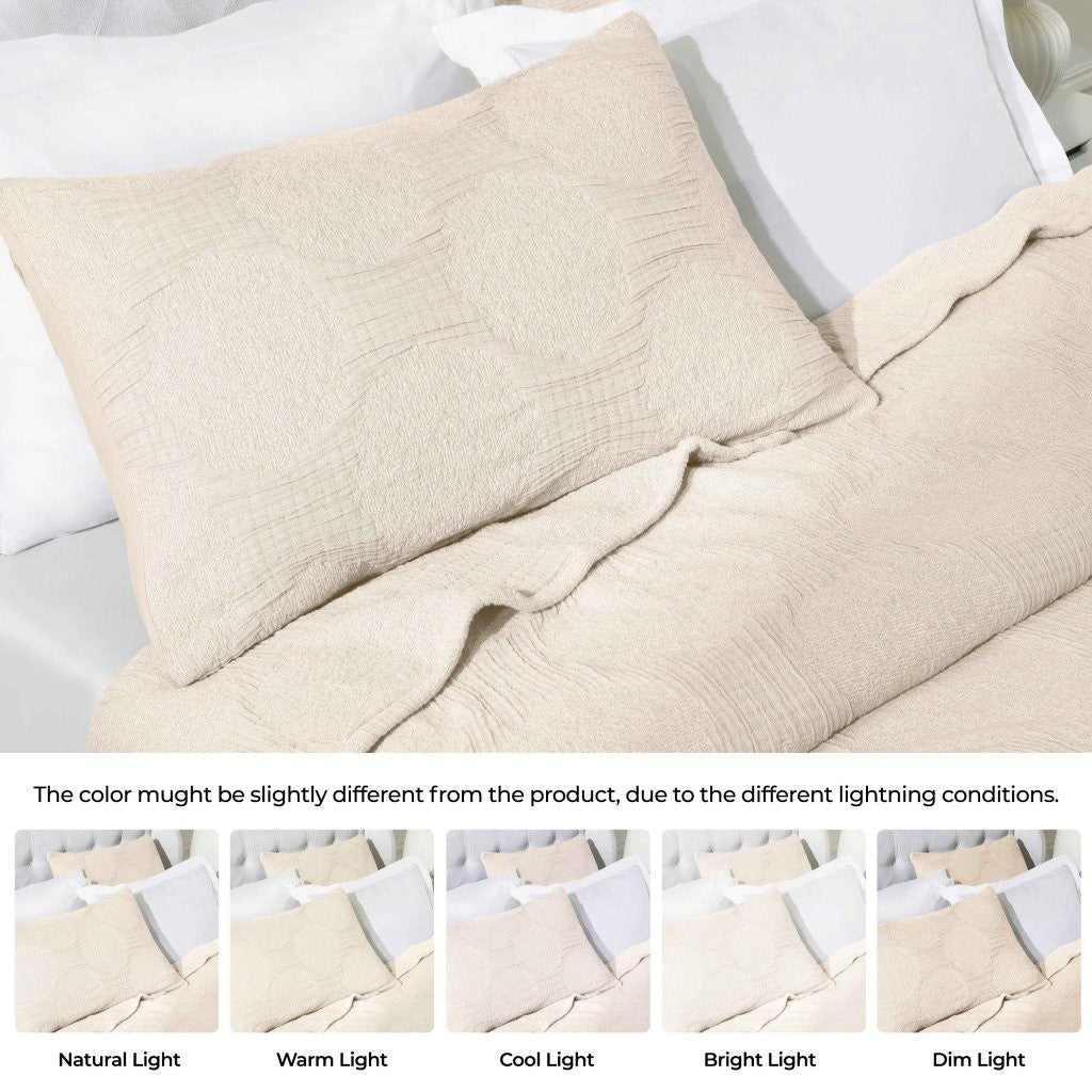 Tanta Cotton Medium Weight Textured Modern Circles Woven Coverlet - Coverlet by Superior Brand